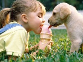 the girl eats ice cream with the dog and becomes infected with parasites